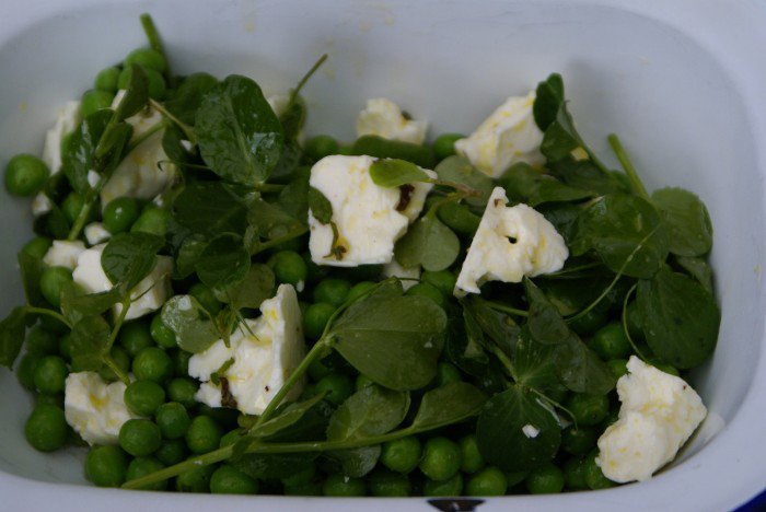 Pea Shoot Salad