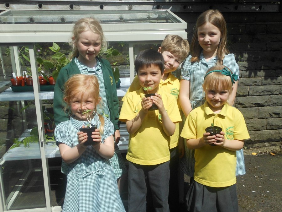 Class 3 with Plants at Greenfield Primary School