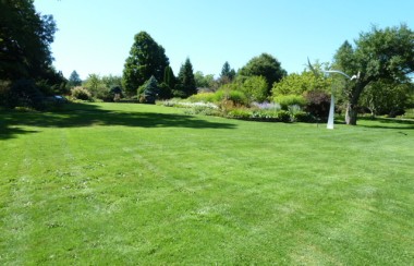 vast-green-grass-plain