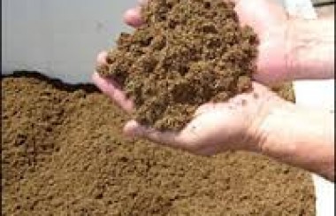 hands-cradling-peat-moss-which-looks-like-sand