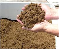 peat moss