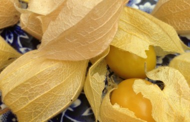 Greenhouse Fruit