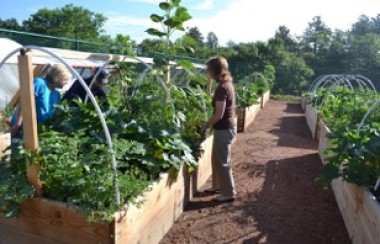 lady-watering-plants