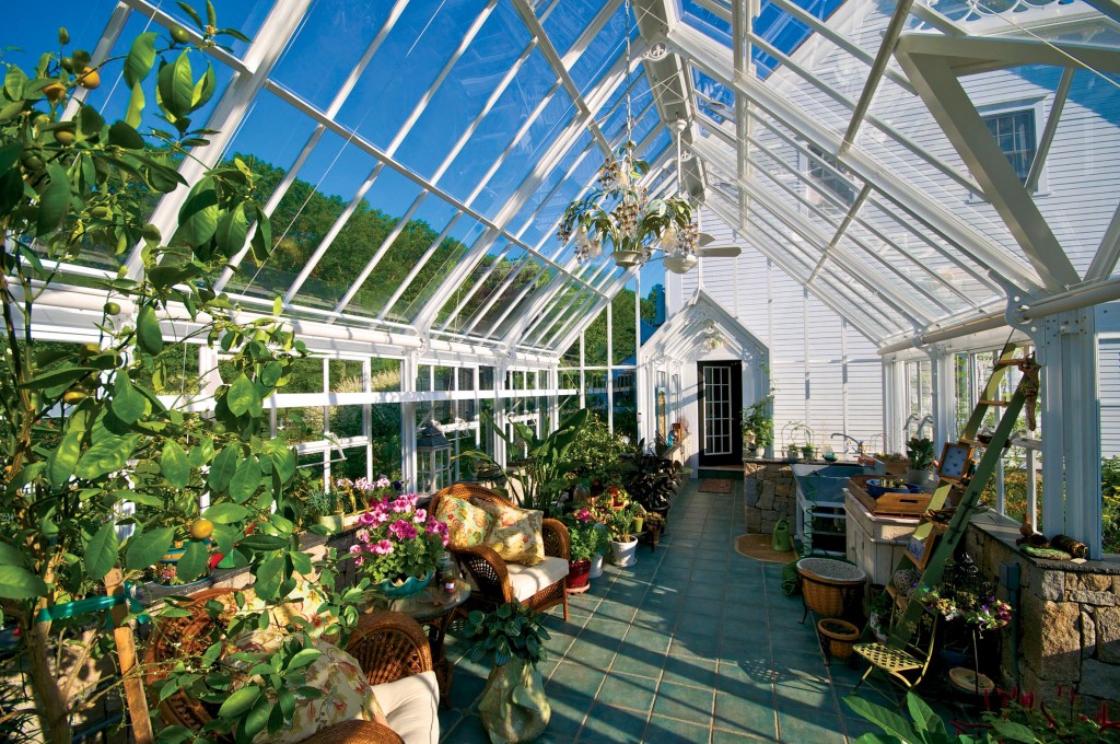 Interior de estufa vitoriana de vidro com plantas tropicais