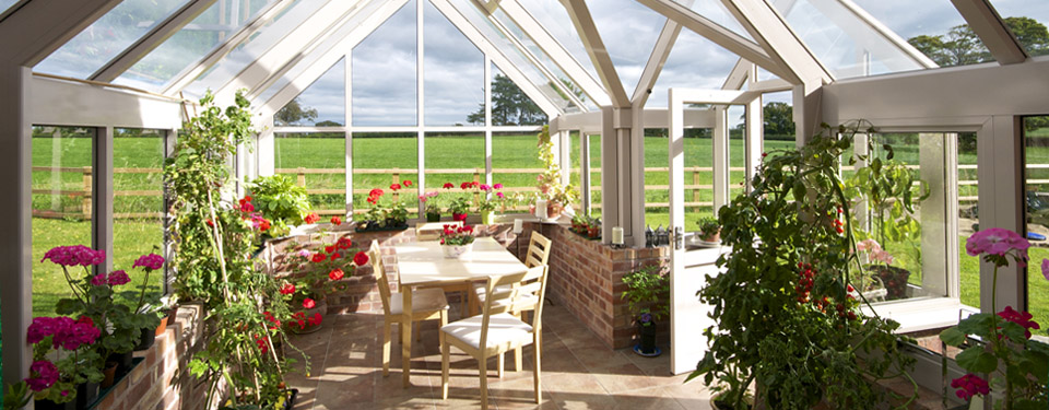 A botanic conservatory interior
