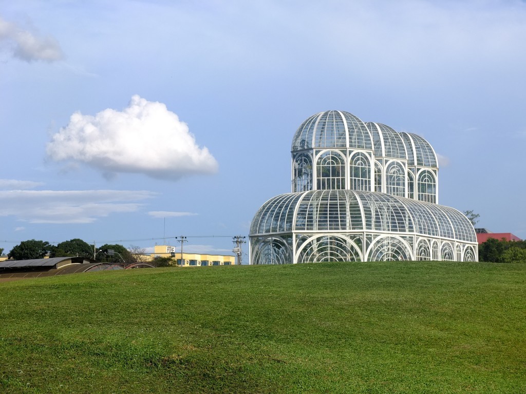 An orangery in Brazil