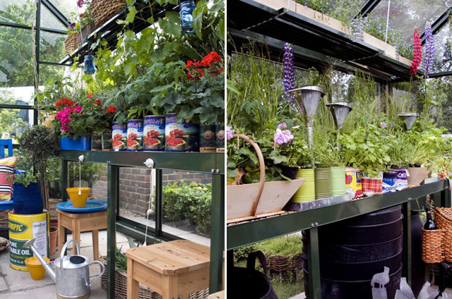 Robust Staging & Shelves in a Hartley Tradition 6 Greenhouse