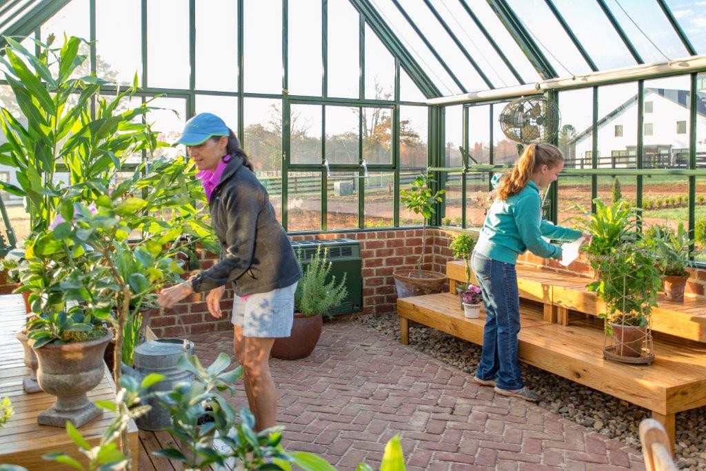 large walk-in greenhouse