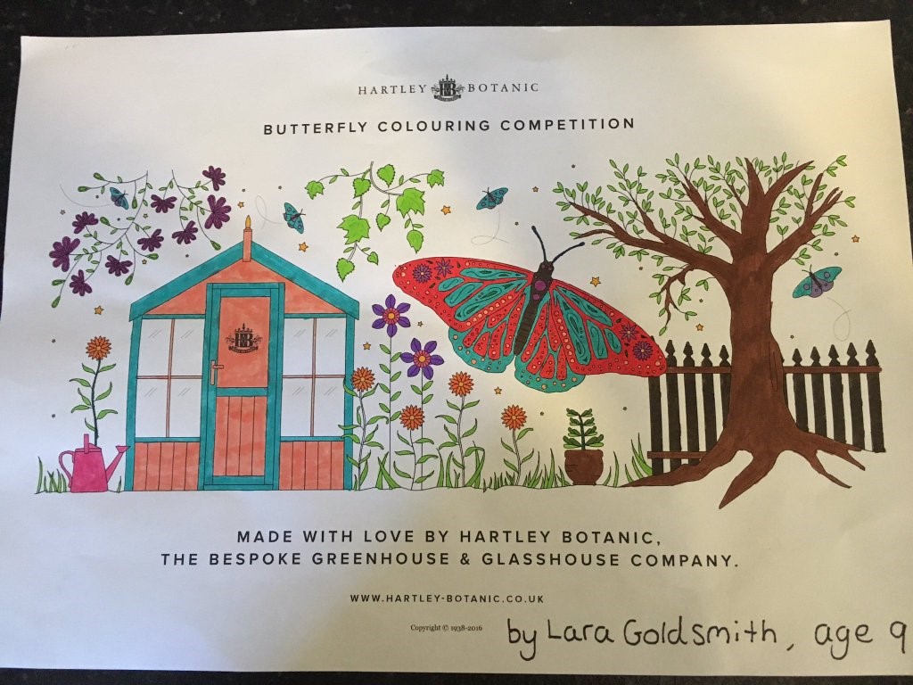 Lara Goldsmith, Age 9, Great Yarmouth