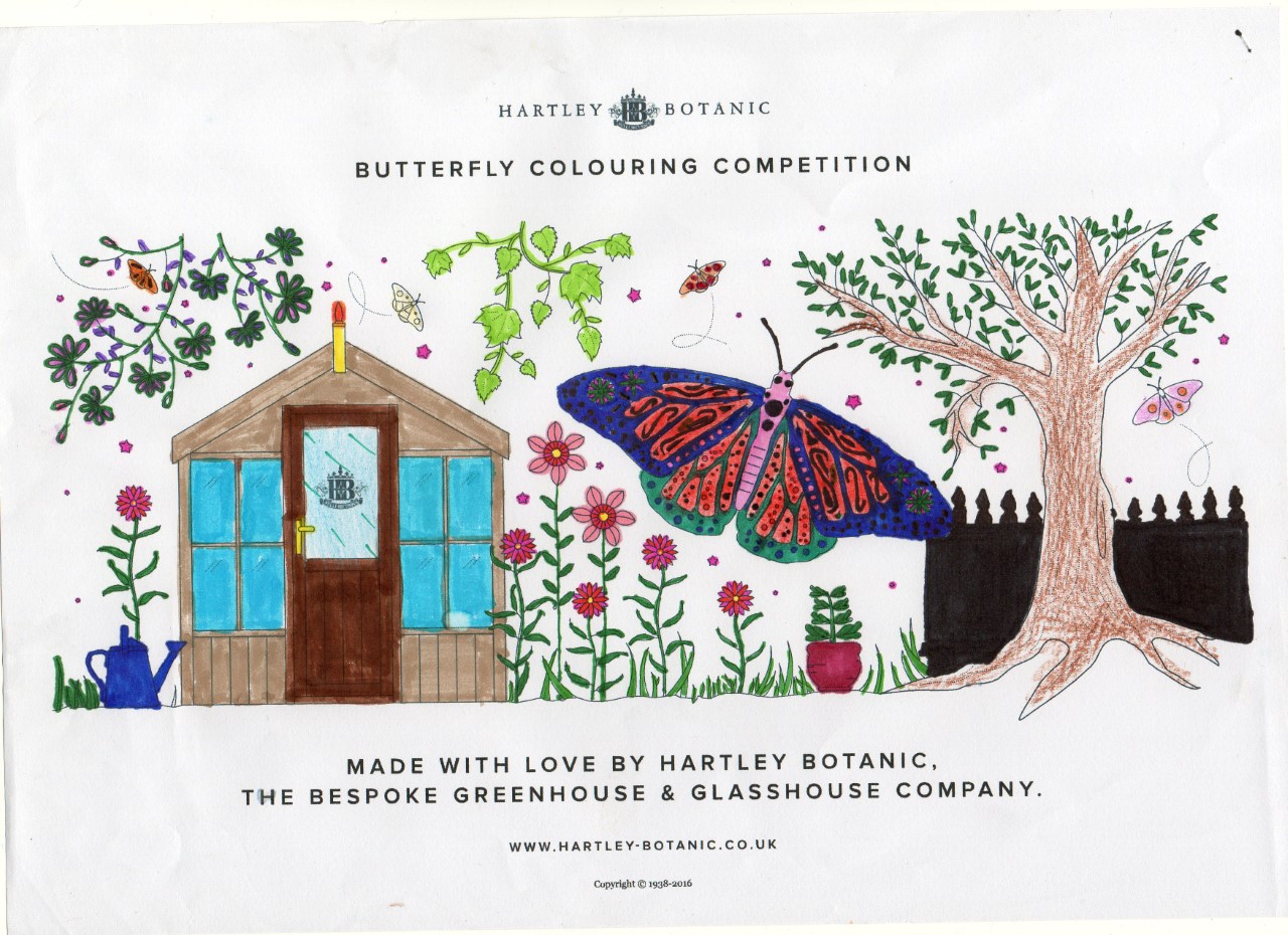 Holly Rosenbaum, Age 8, Dalgety Bay - Scotland