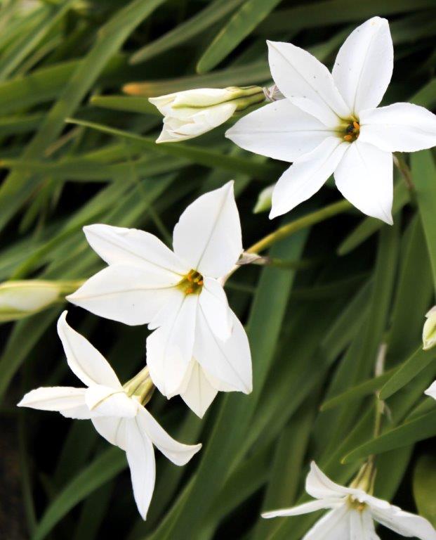 Image - April 2016 (1 of 1)