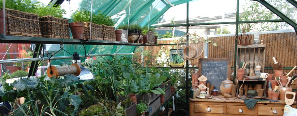 Inside a Hartley greenhouse