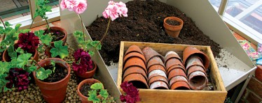 Greenhouse Potting Bench and Accessories in a Hartley Botanic Greenhouse