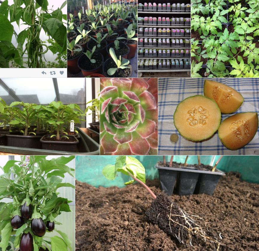#peatfree