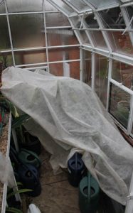 Image - May 2016 (1 of 1)