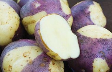 potatoe-masquerade-May-2016