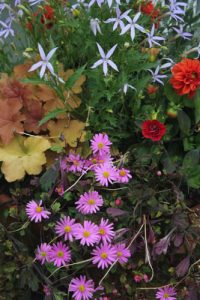 Image - August 2016 (1 of 1)