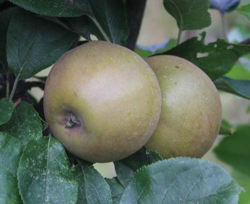 Image - September 2016 (1 of 1)