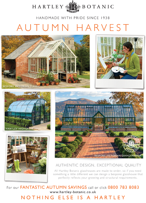 HB1446 Country Life - 2nd November