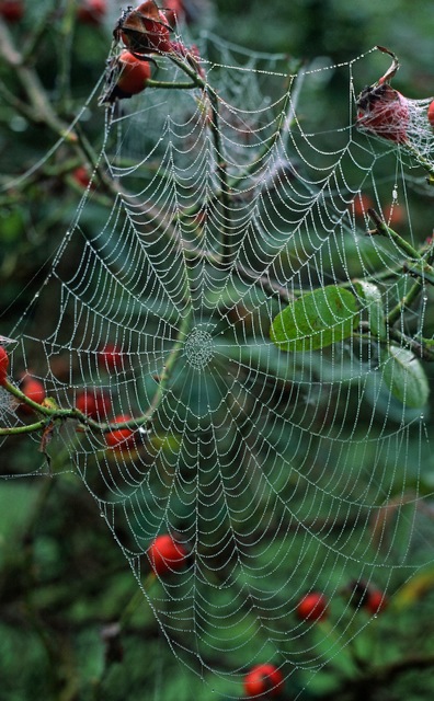 renewable-oct16-pic1