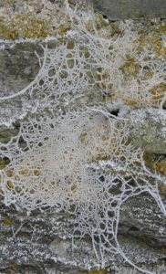 renewable-oct16-pic2