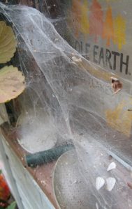 renewable-oct16-pic4