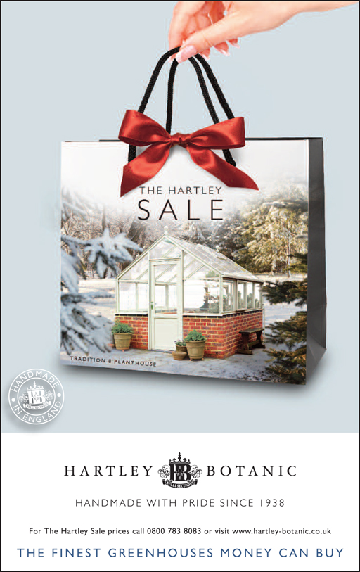 HB1481 Telegraph - Saturday 31st December