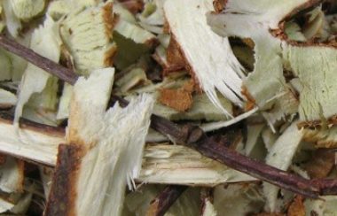 A mulch of free, fresh and sappy ‘chipped branch wood’ will reinvigorate the life in soil that’s lain entombed under plastic.