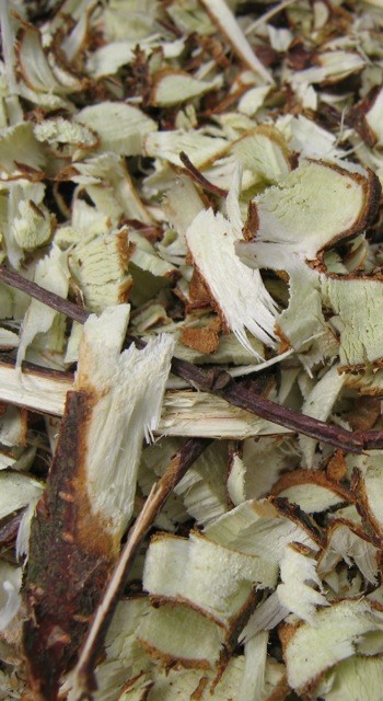 A mulch of free, fresh and sappy ‘chipped branch wood’ will reinvigorate the life in soil that’s lain entombed under plastic. 