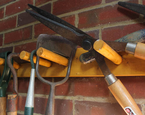 Image - December 2016 (1 of 1)