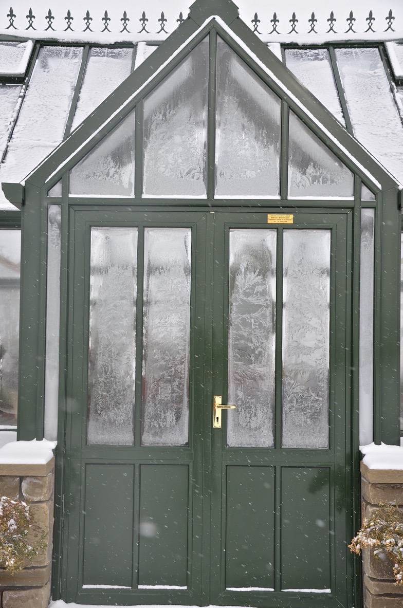 Image 2 - Jan 2017 Special