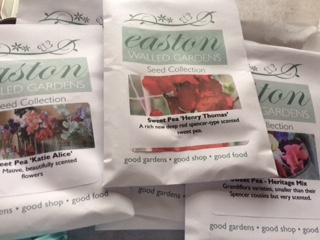 January 2017 - Image 1