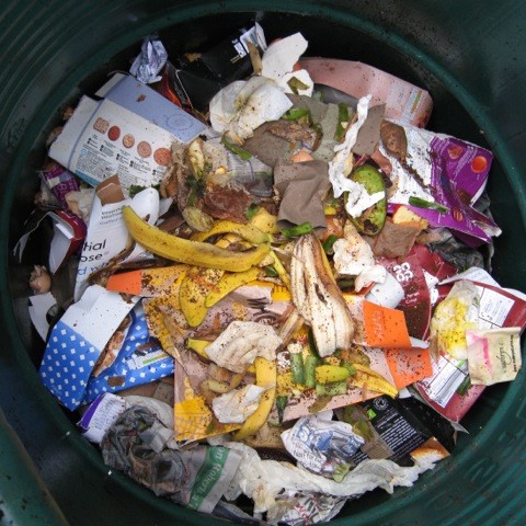 My ‘cool’, worm-churned compost bins help me turn at least some of a tide of excess packaging, especially at Christmas, into something positive.