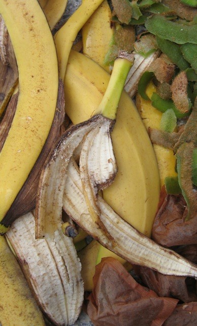 Banana Skin