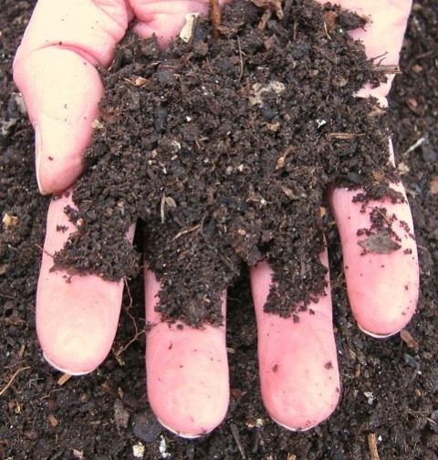 Fall under the spell of ‘wormposting’ and you’ll enjoy a regular, renewable supply of trickle-through-the-fingers compost.