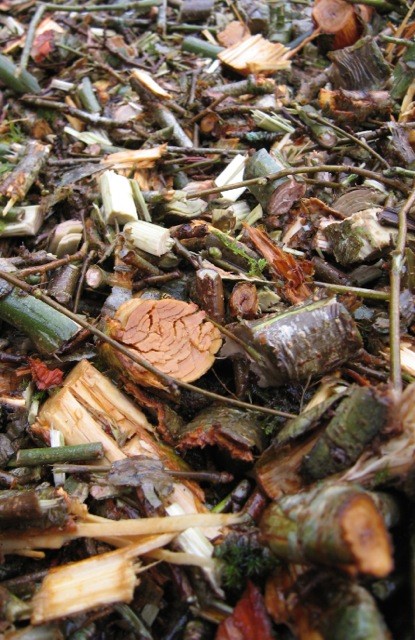 Shredding woody prunings turns them into a useful and easily handled resource which can be used to improve soil, make paths, smarten your borders and keep down weeds.