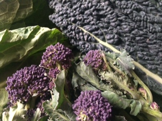 February 2017 - Image 1