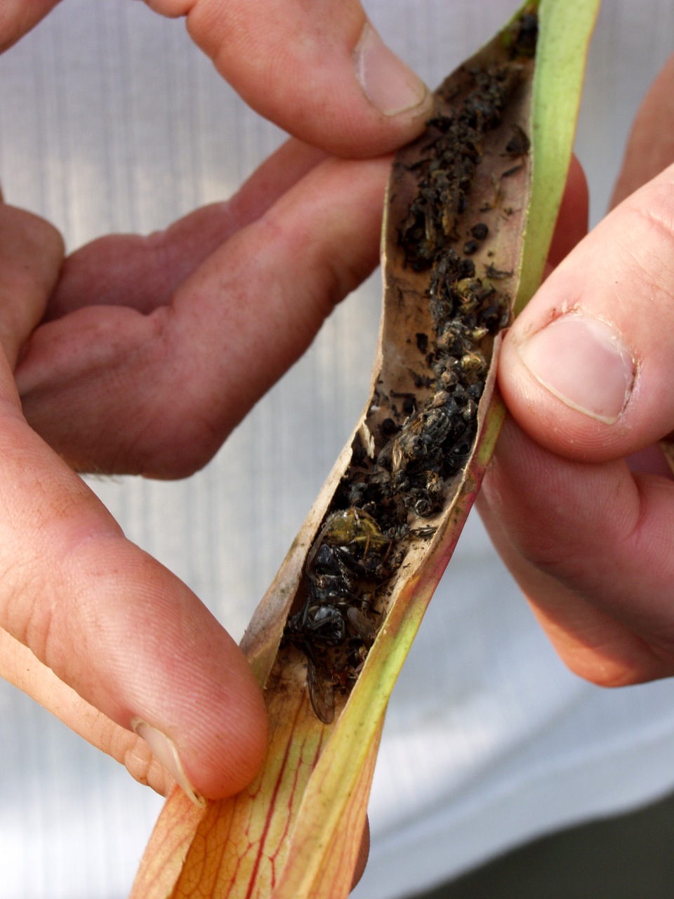 Image 2 - March 2017