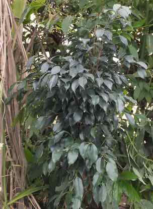 Image 2 - March 2017