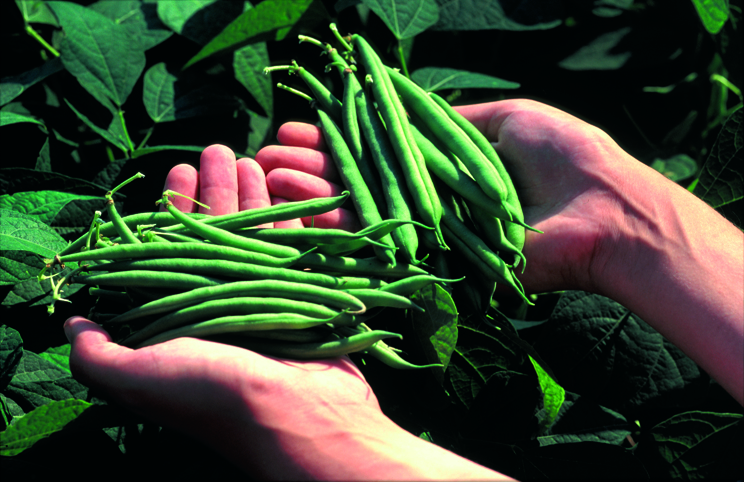 Image 1 - April 2017