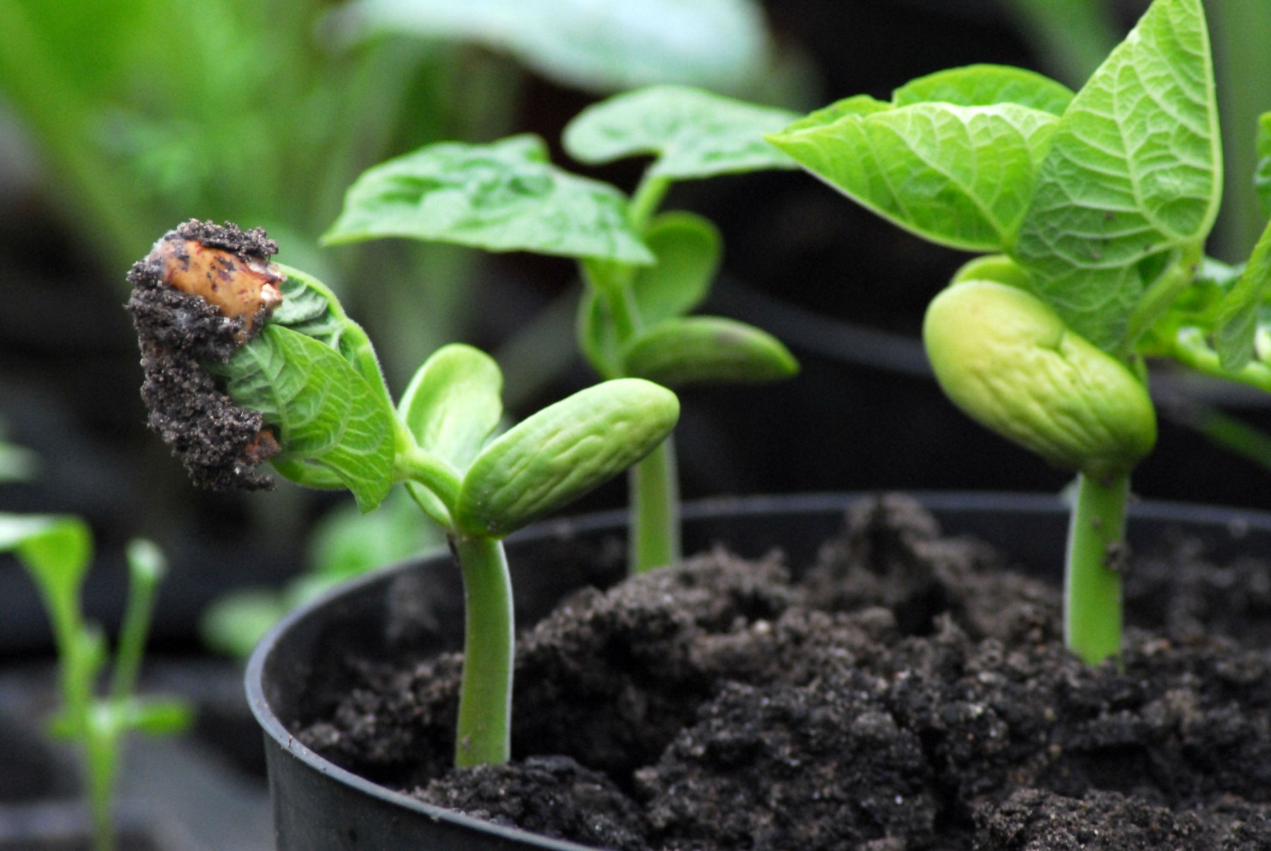 Image 2 - April 2017