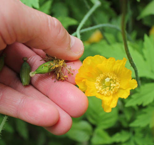 Image - May 2017 (1 of 1)