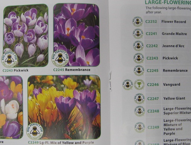 Some bulb catalogues are plastered with the RHS’s ‘perfect for pollinators’ logo, but say nothing about whether the bulbs have been treated with pesticides…
