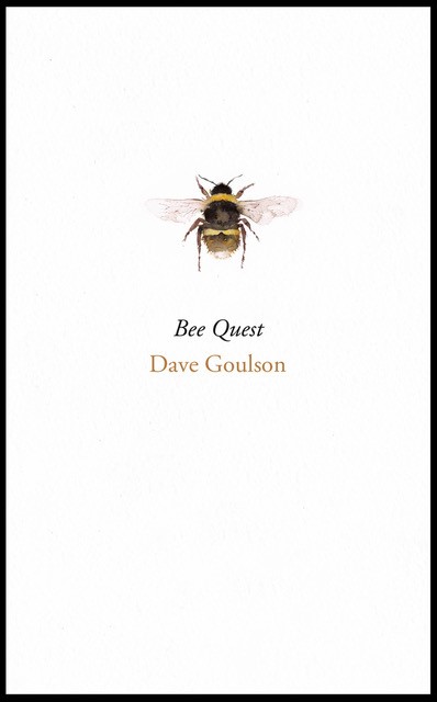 Bee Quest is Dave Goulson’s latest book, about his hunt for the world’s most elusive bees. 