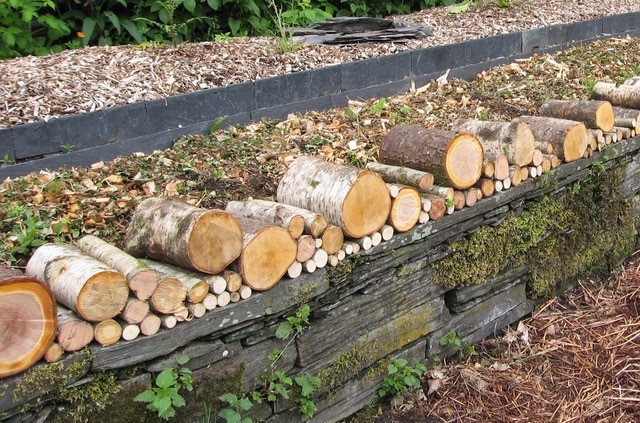 I began my wonder wall by laying thinner logs as a base, adding thicker ones as I went along.