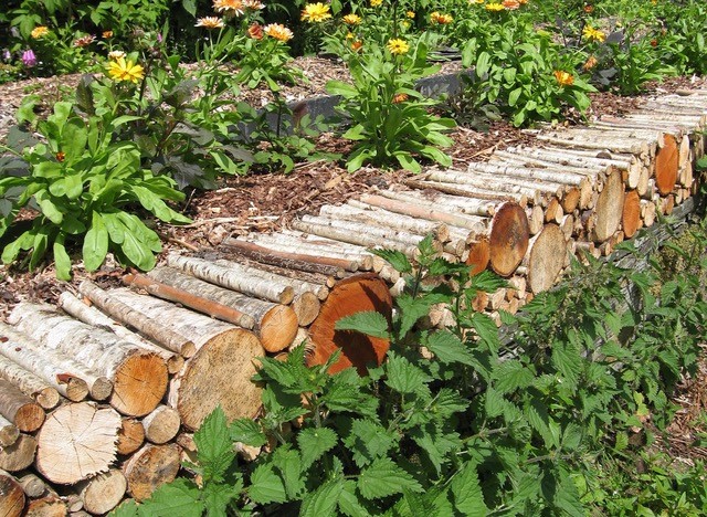 Stolid slate and beautiful, habitat-boosting wood are rubbing along together just fine.