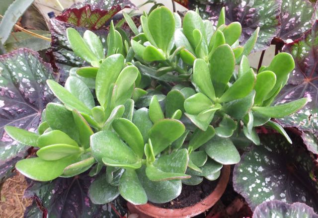 Image 2 - Sept 2017