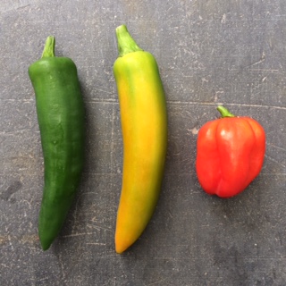 September 2017 - Image 1