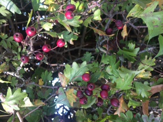 October 2017 - Image 1