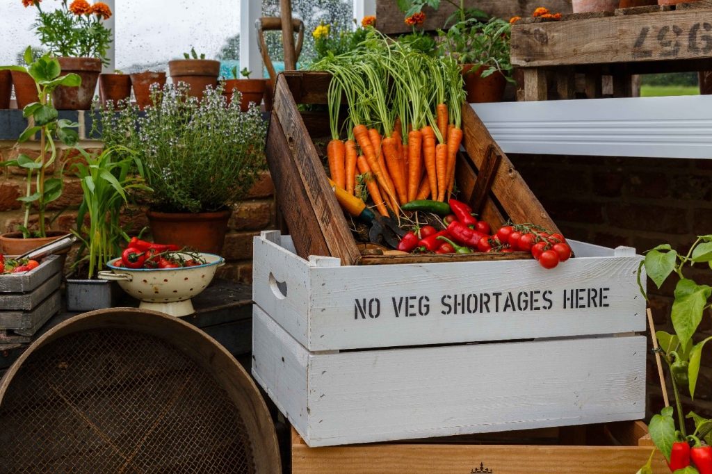 Organic, veg-based diets